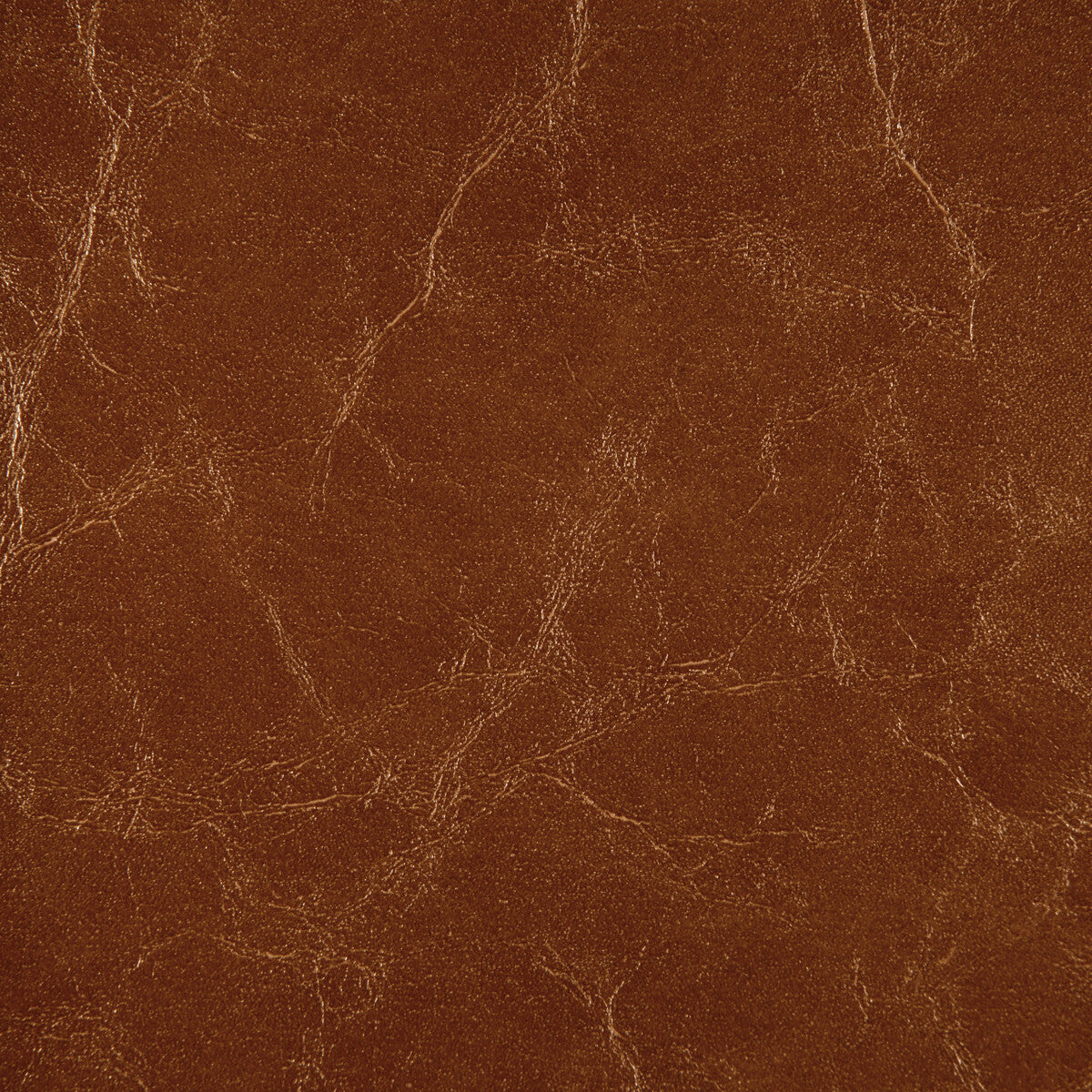 Kravet Design-Duncan-606