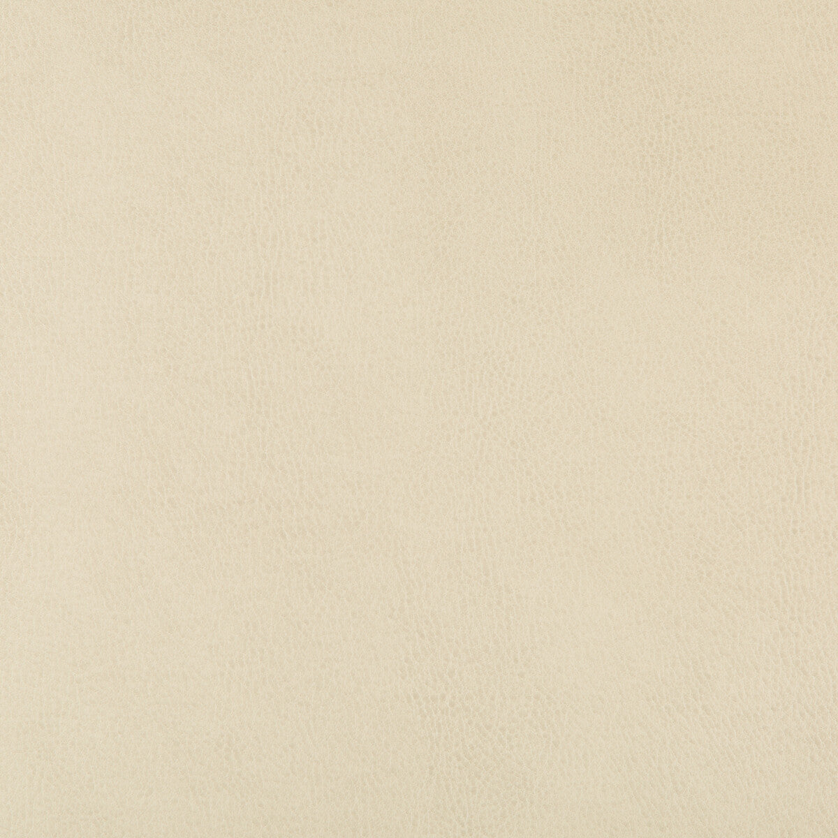 Kravet Design-Dust-116