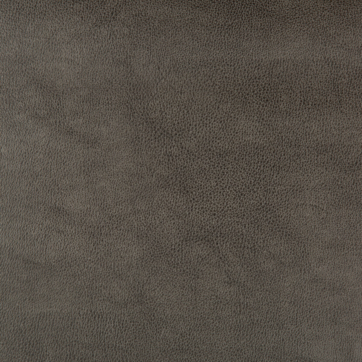 Kravet Design-Dust-21