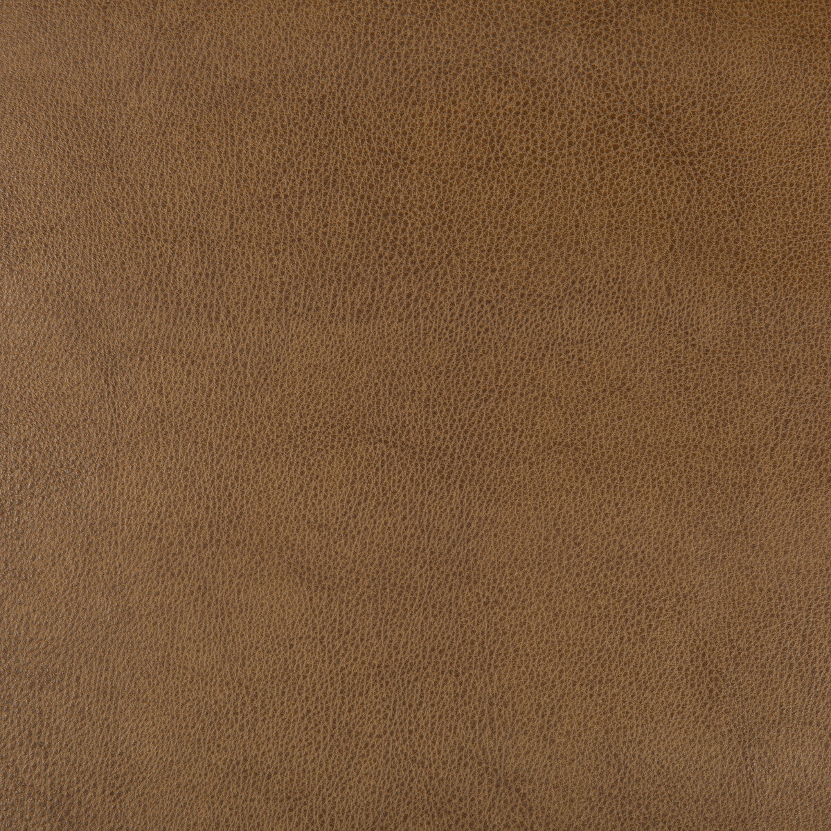 Kravet Design-Dust-616