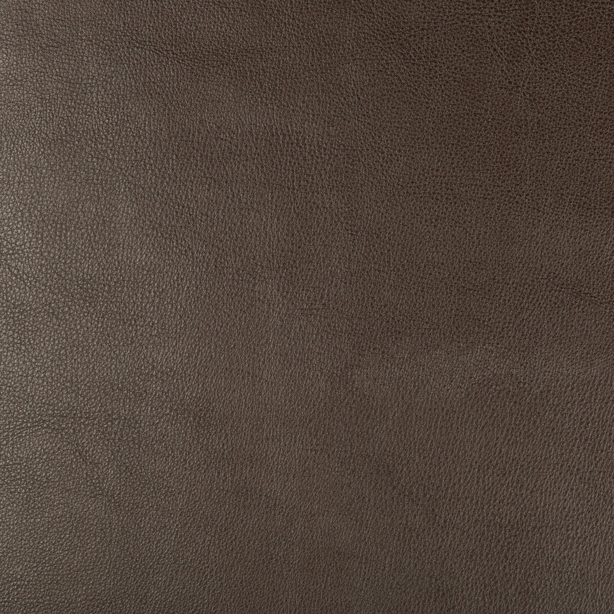 Kravet Design-Dust-66
