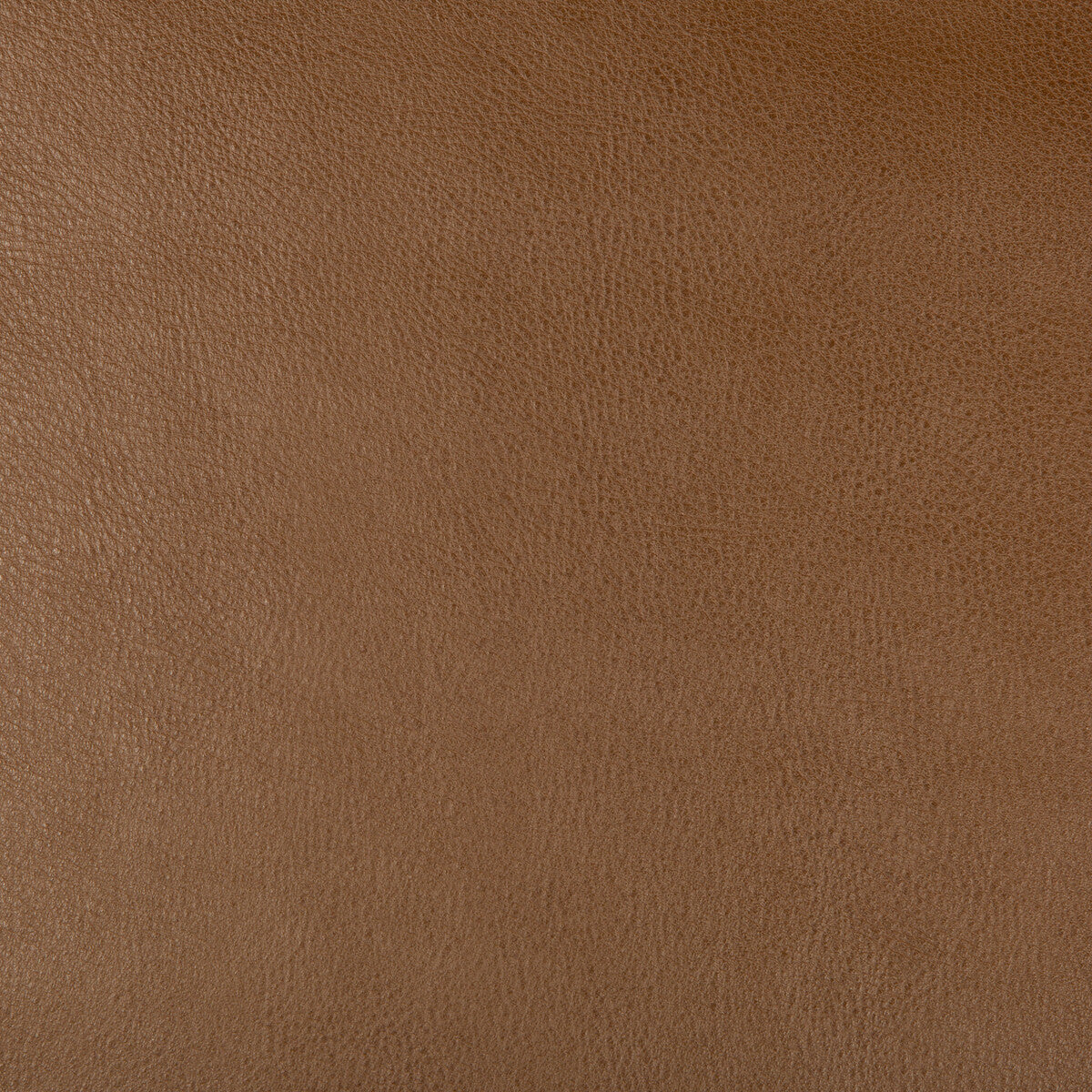 Kravet Design-Dust-6