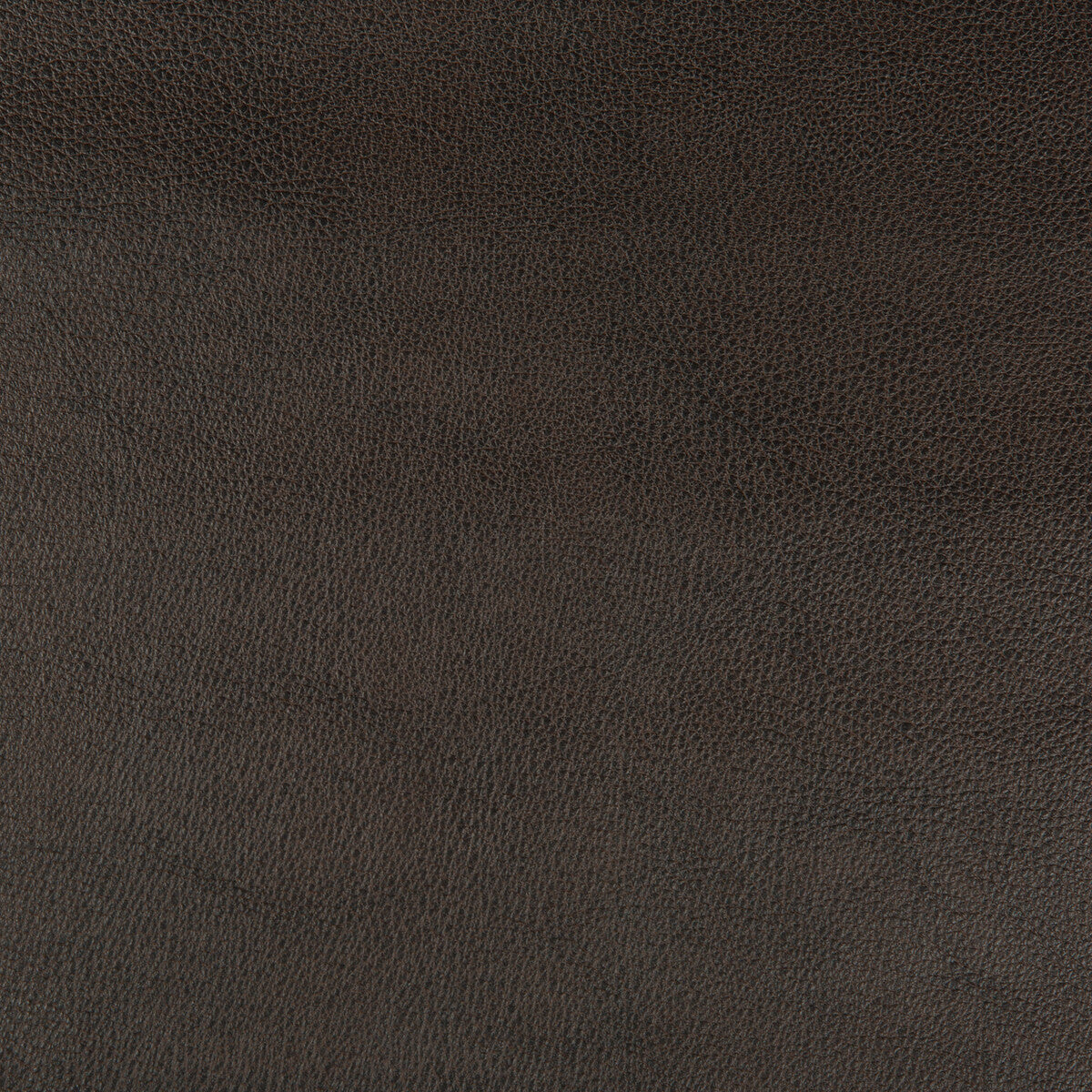 Kravet Design-Dust-86