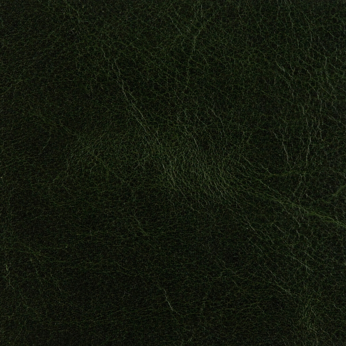 Crawford-Forest Green