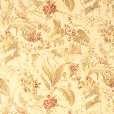 Morning Mist-Rose Antique