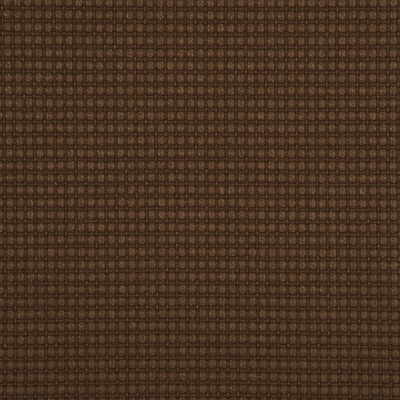 Avani-Cocoa