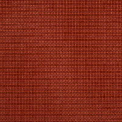 Avani-Tomato