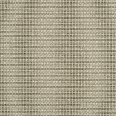 Avani-Silver Birch