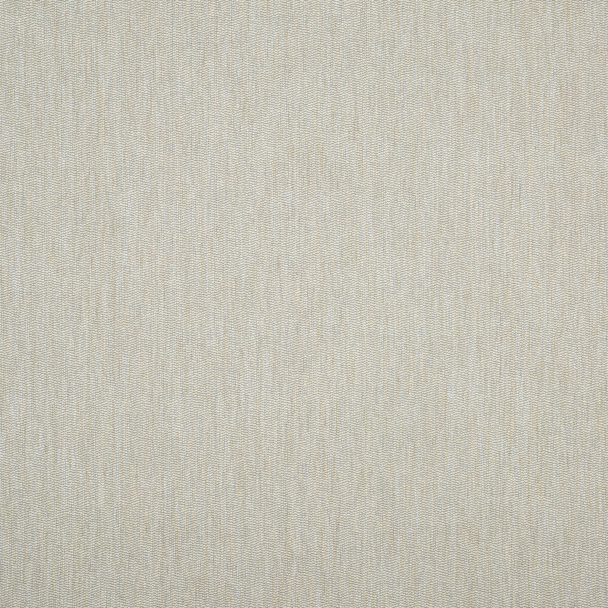 Marcella-Shingle