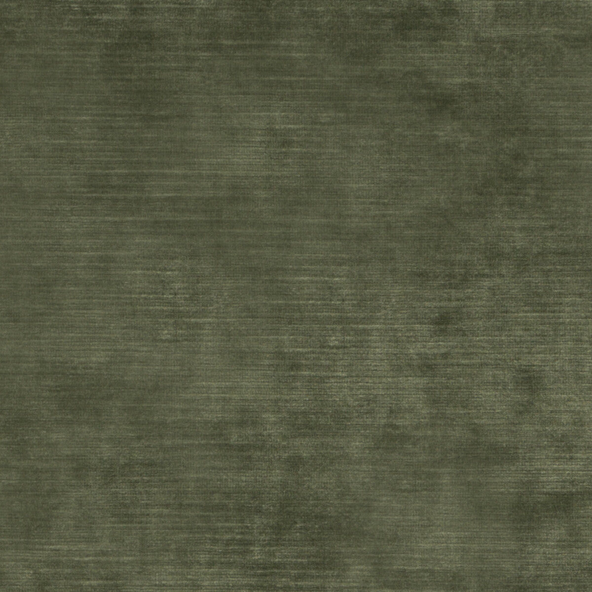 Meridian Velvet-Fern