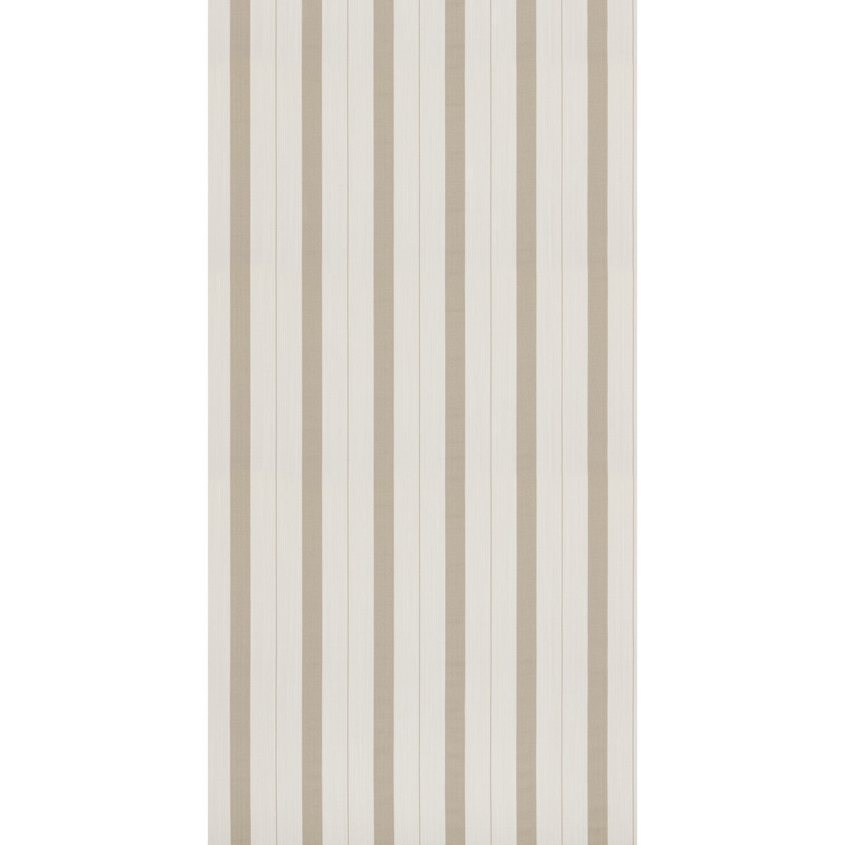 Pamir Stripe-Ivory