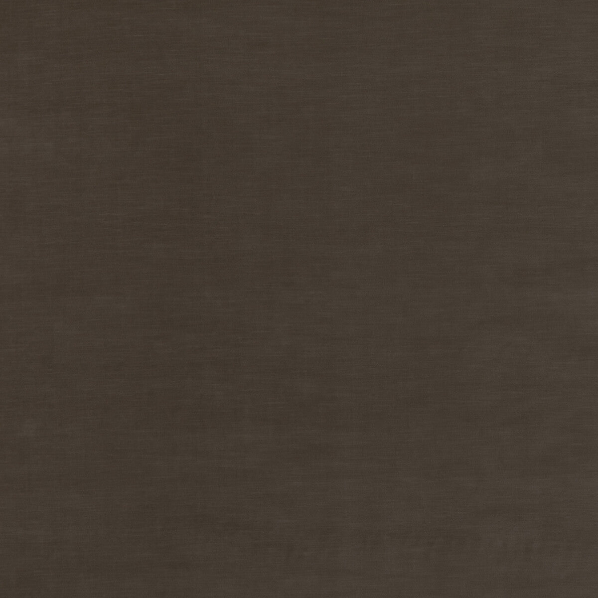 Quintessential Velvet-Mocha