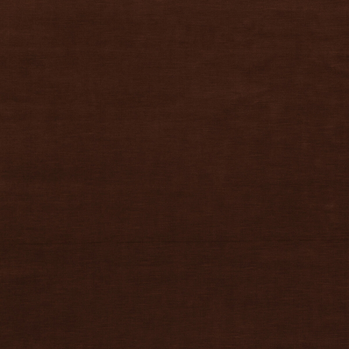 Quintessential Velvet-Chocolate