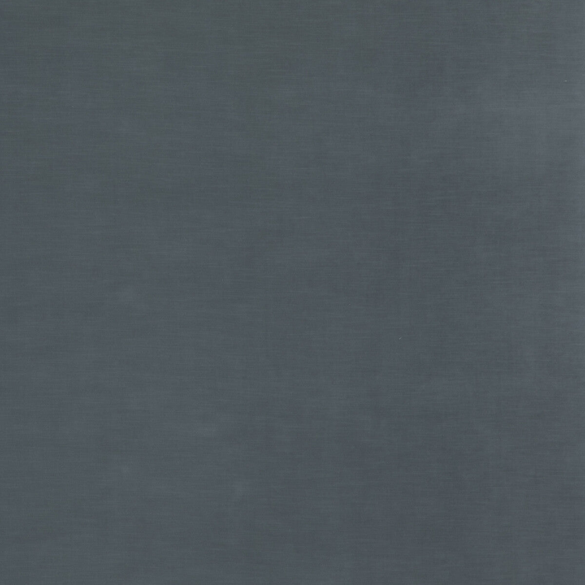 Quintessential Velvet-Pigeon