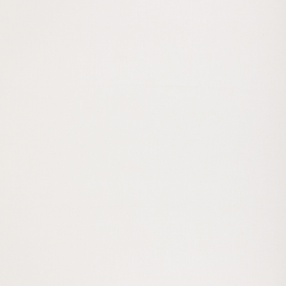 Pumice-Ivory