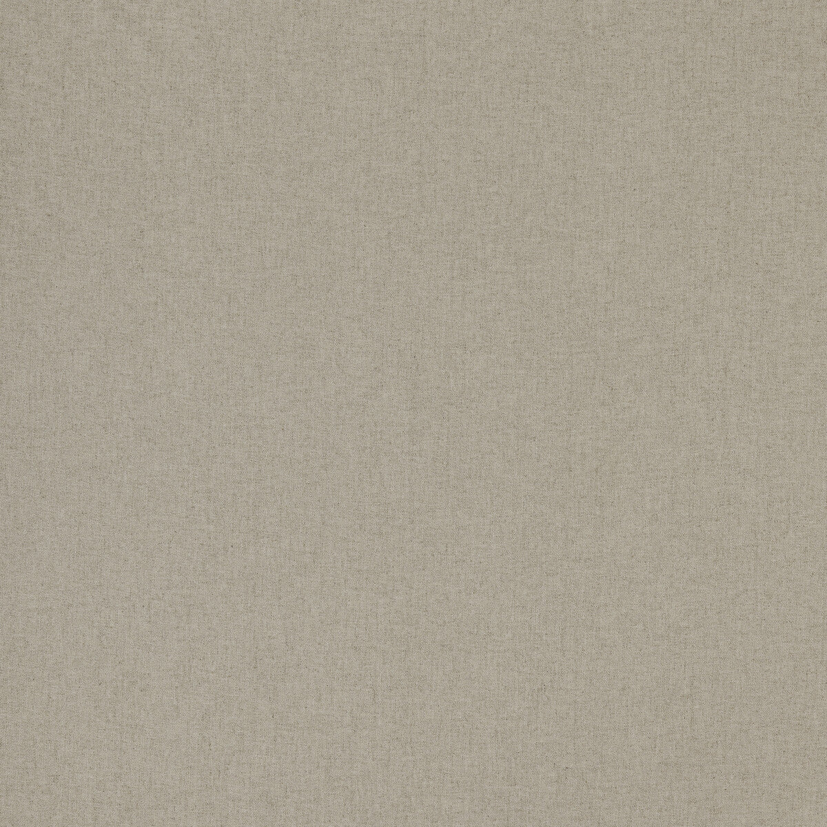 Pumice-Parchment