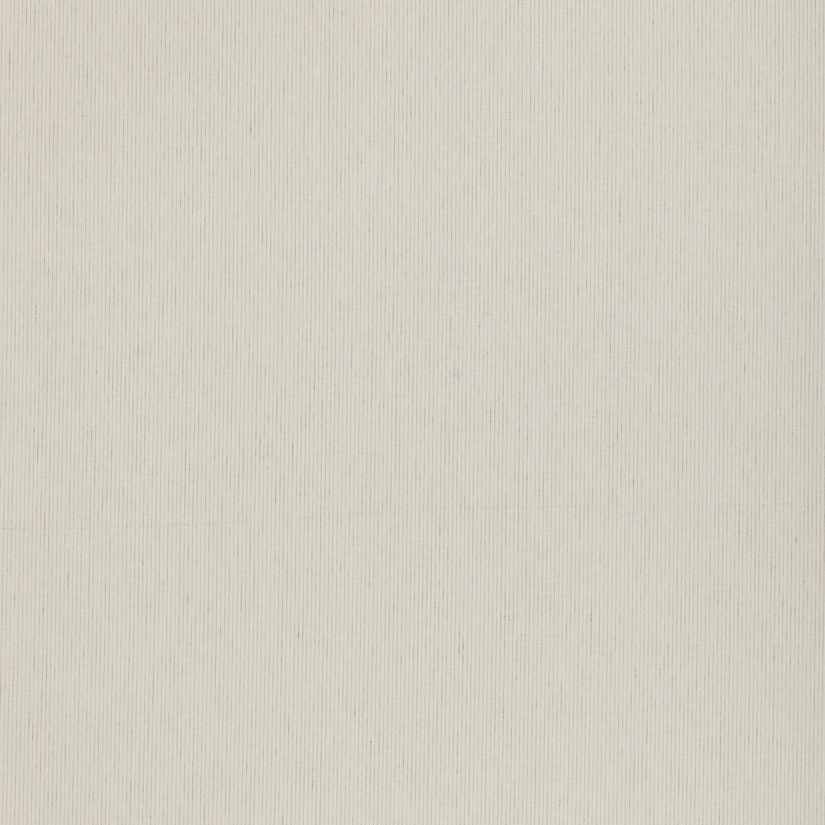 Pampas-Ivory