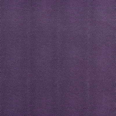 Epitome-Plum