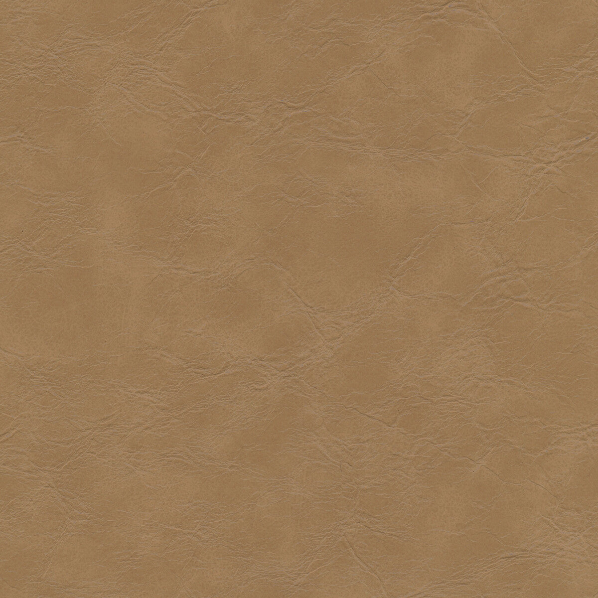 Kravet Design-Equine-106