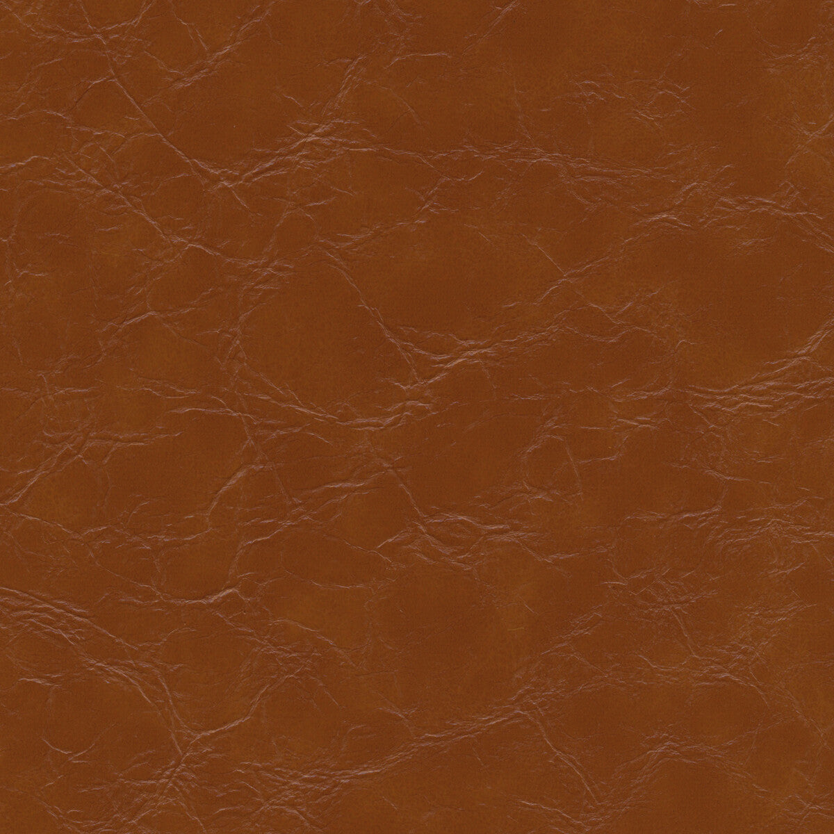Kravet Design-Equine-6