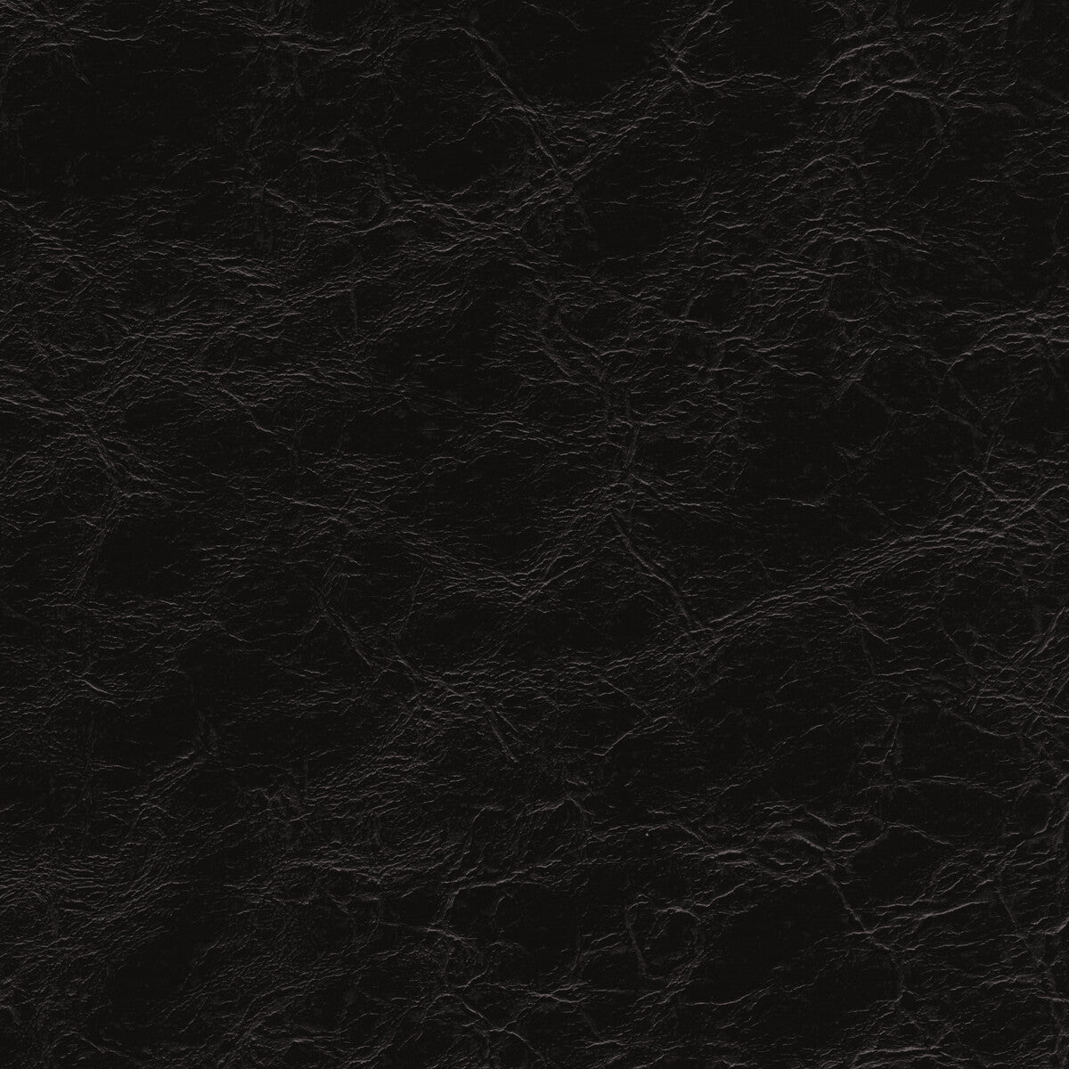 Kravet Design-Equine-8