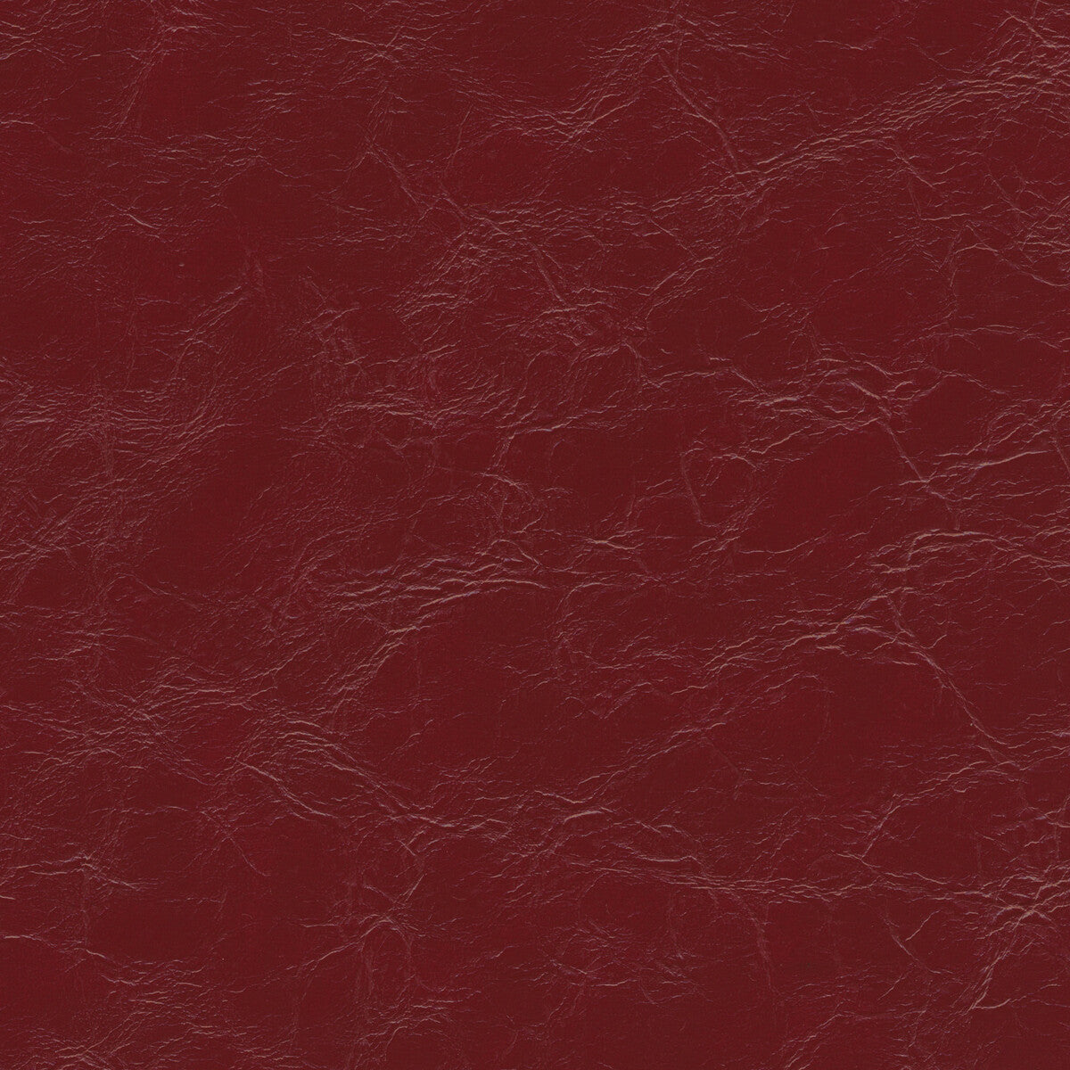 Kravet Design-Equine-9