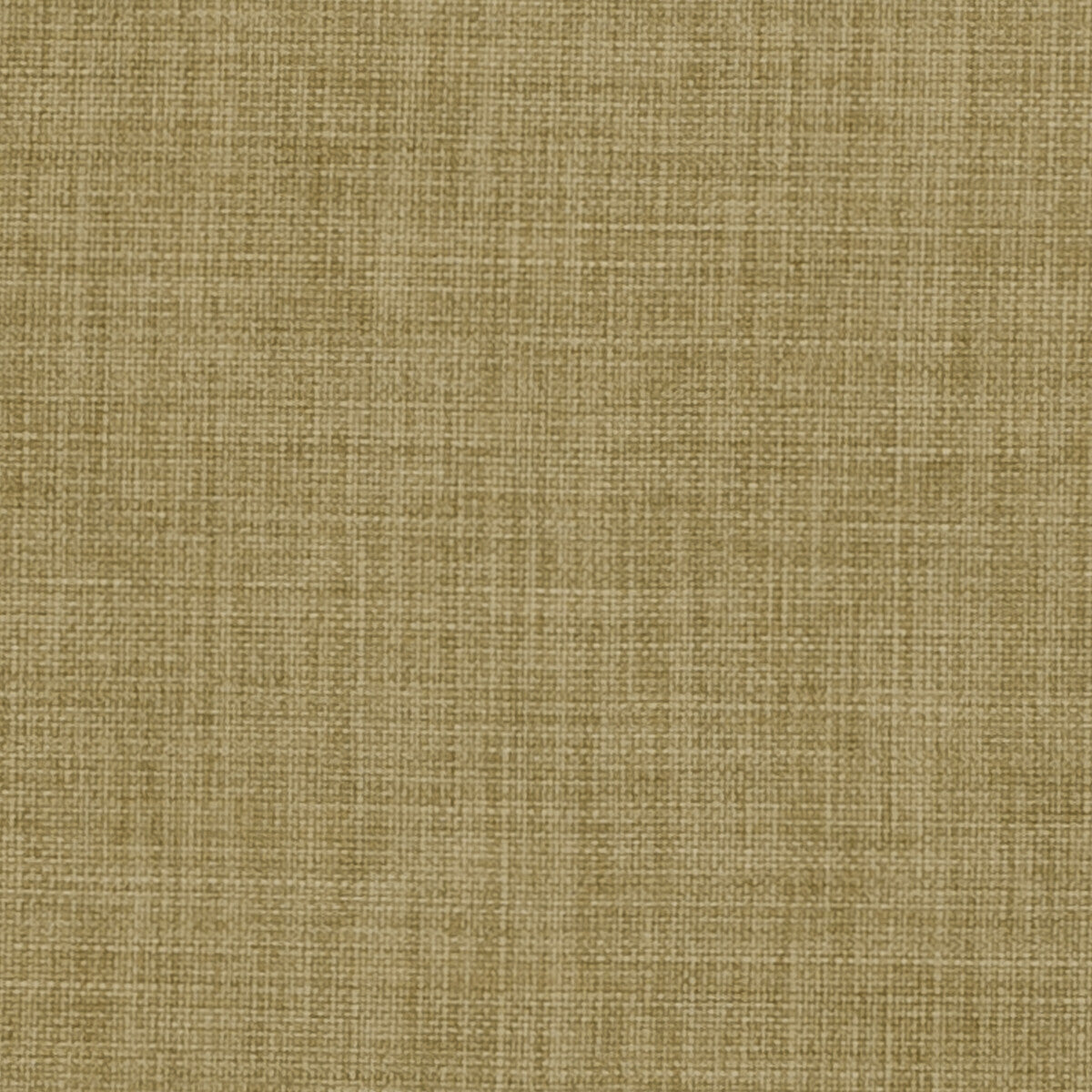 Linoso-Olive