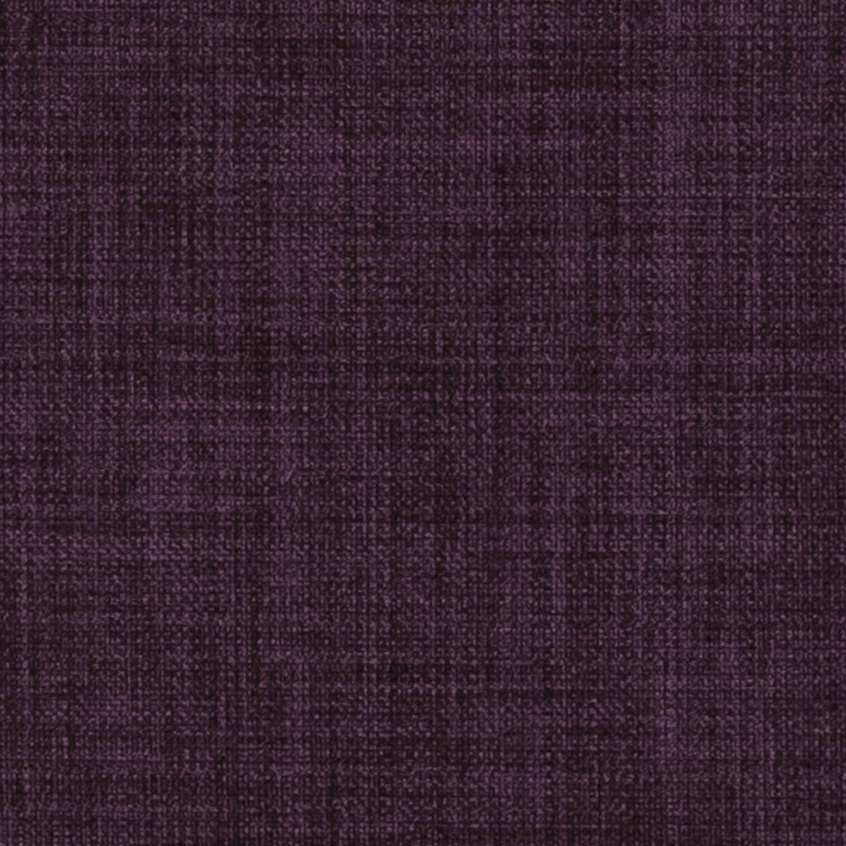 Linoso-Petunia