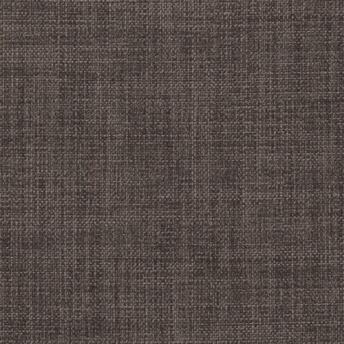 Linoso-Pewter