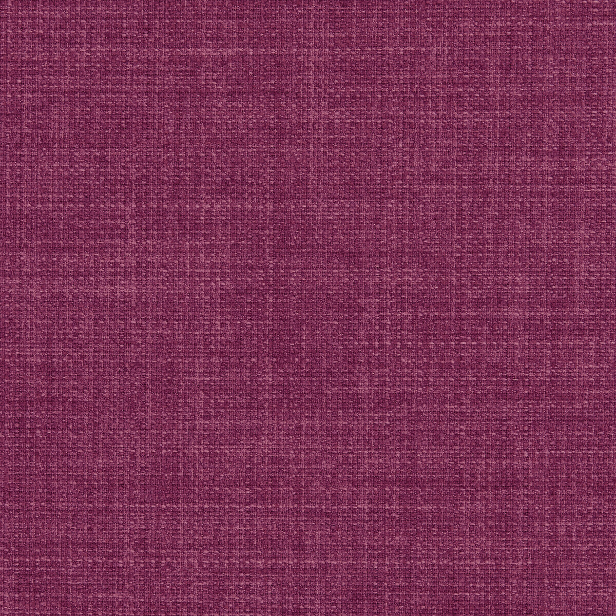 Linoso-Fuchsia