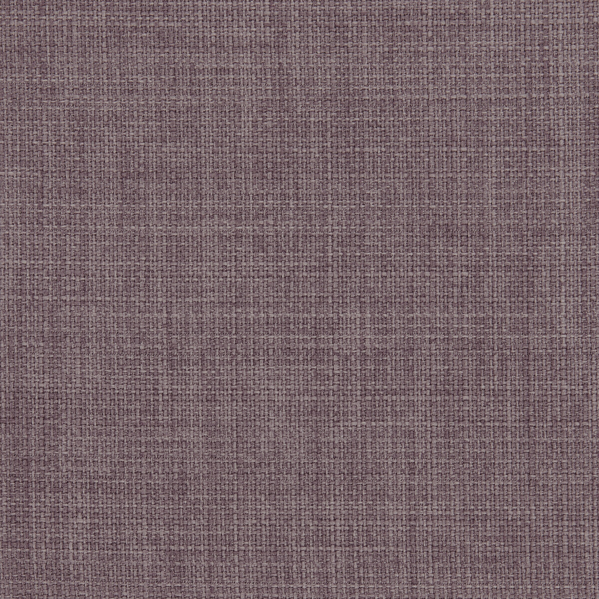 Linoso-Heather