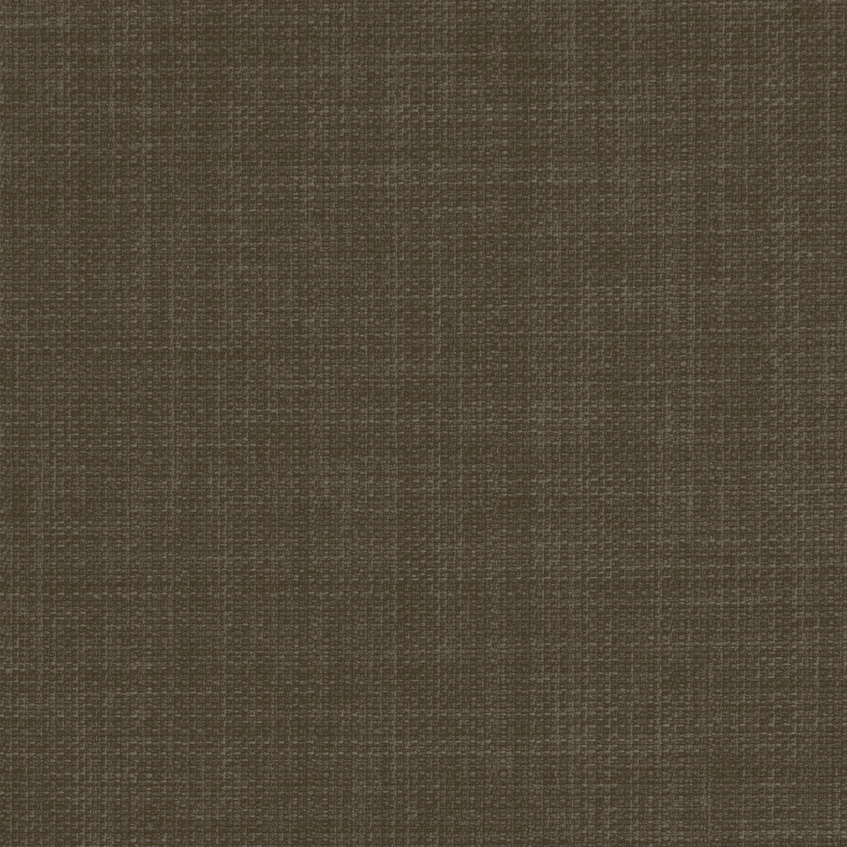 Linoso-Pecan
