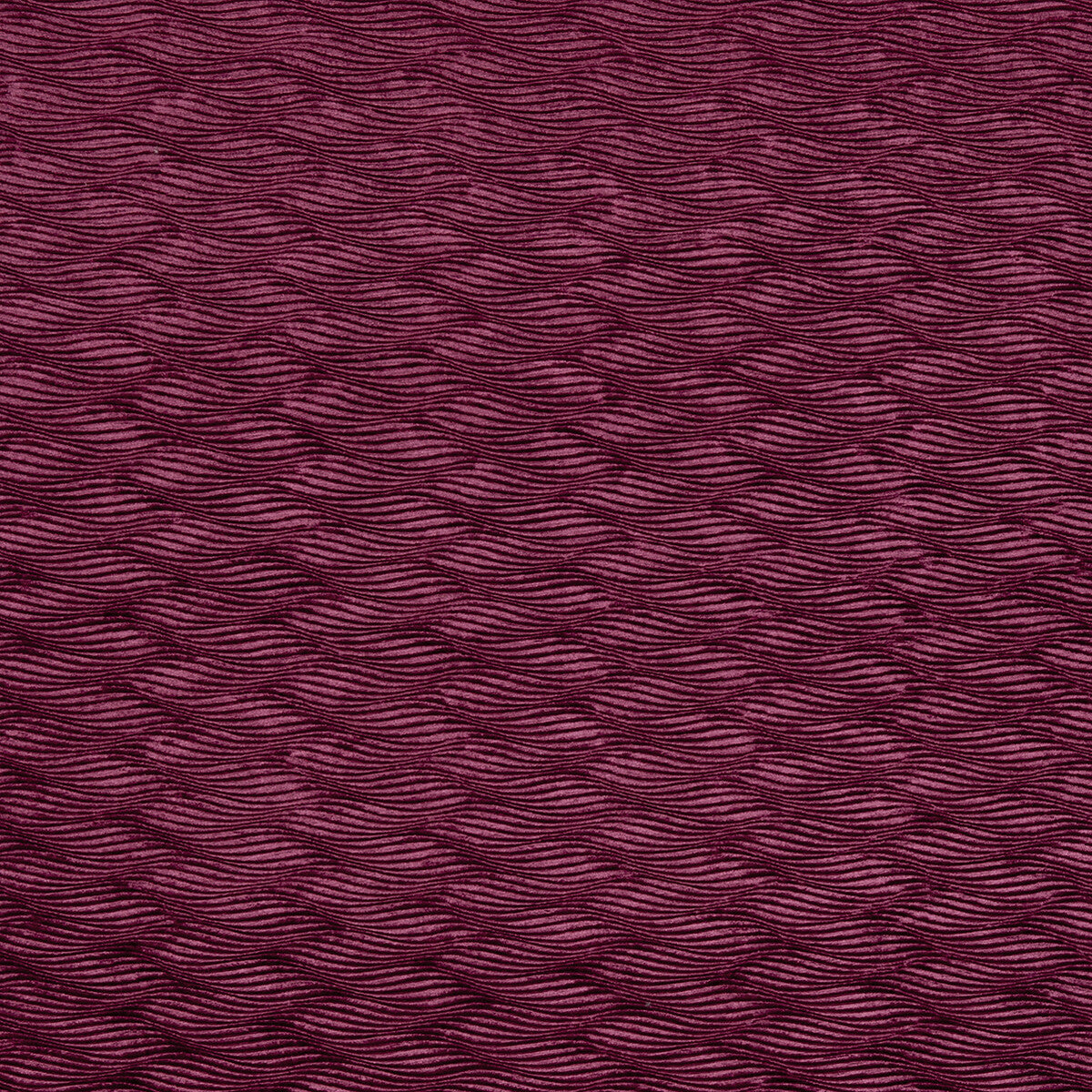 Tempo-Sorbet