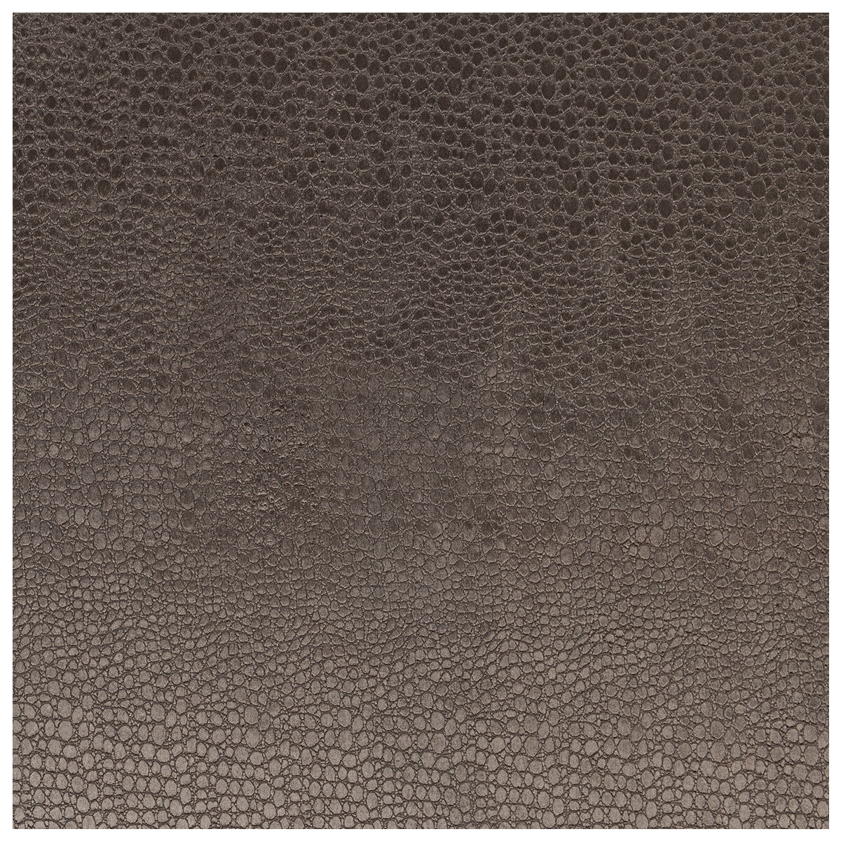 Pulse-Charcoal