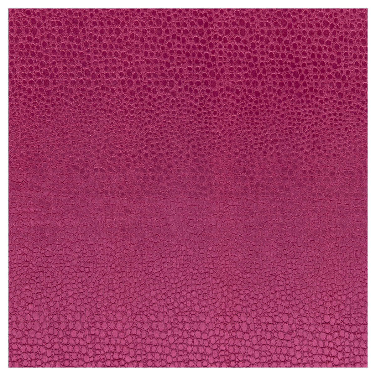 Pulse-Sorbet