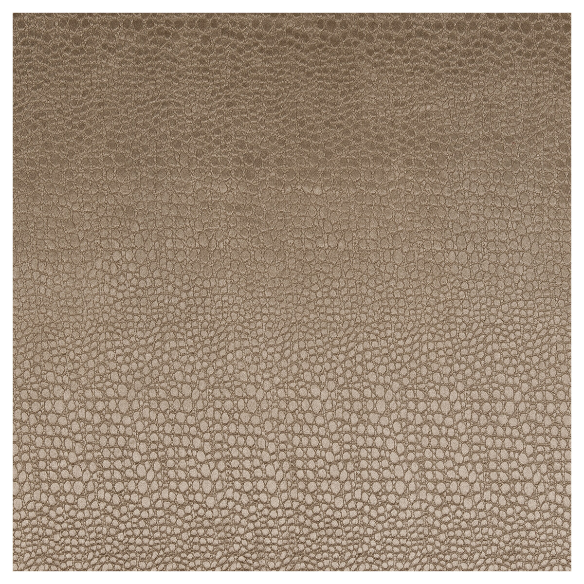 Pulse-Taupe