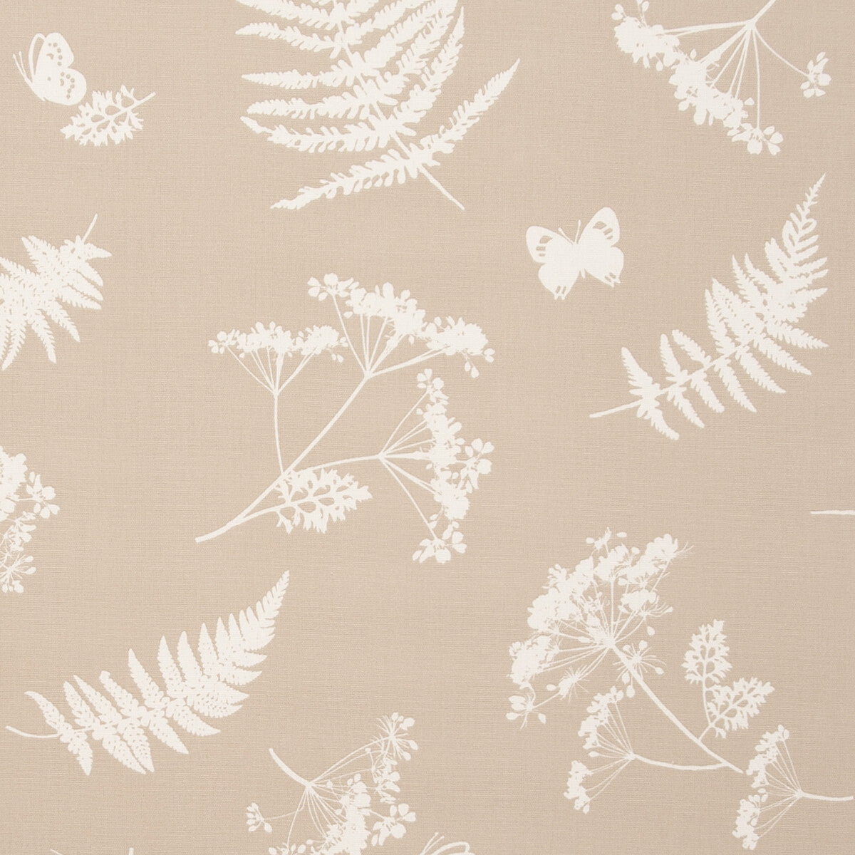 Moorland-Taupe