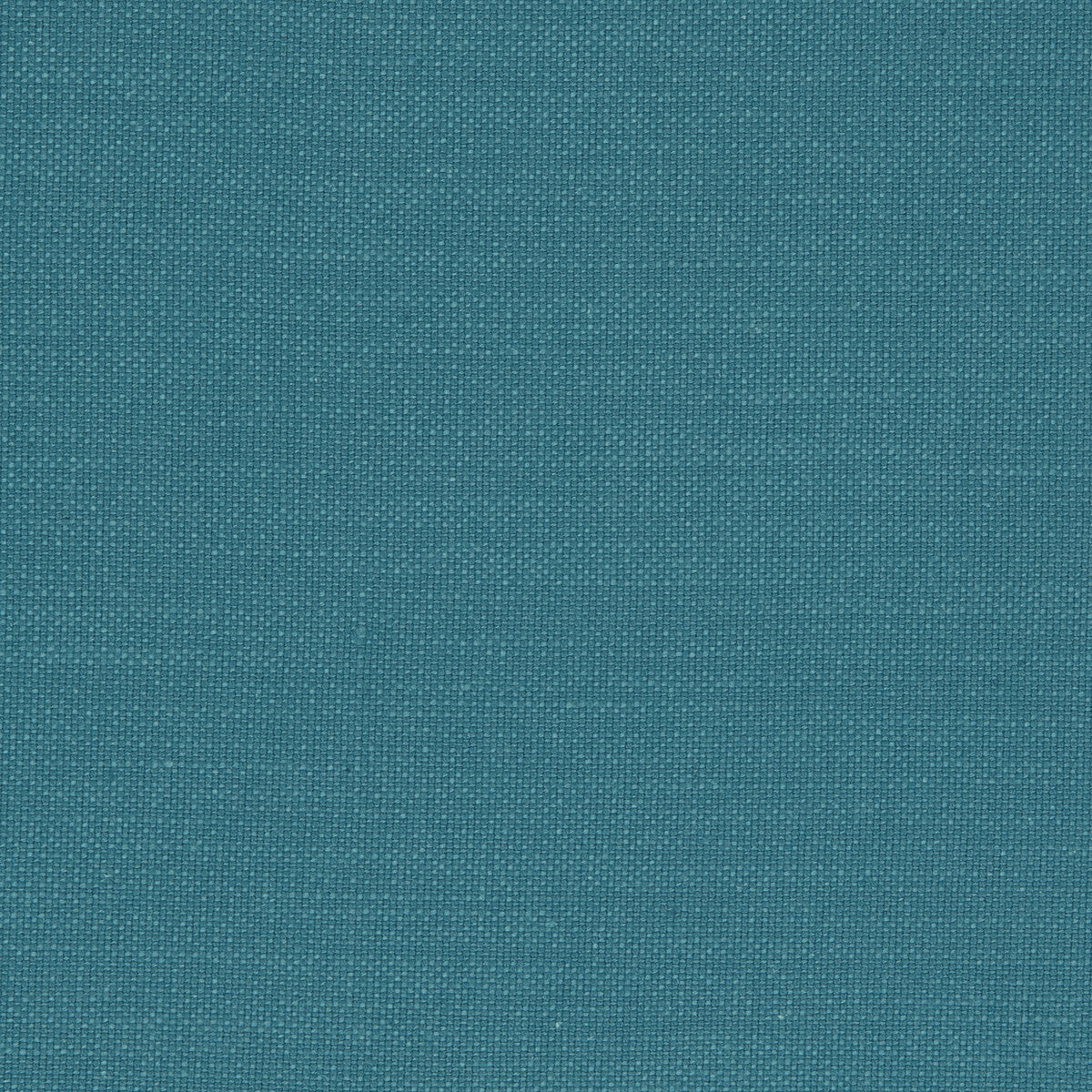 Nantucket-Bluejay