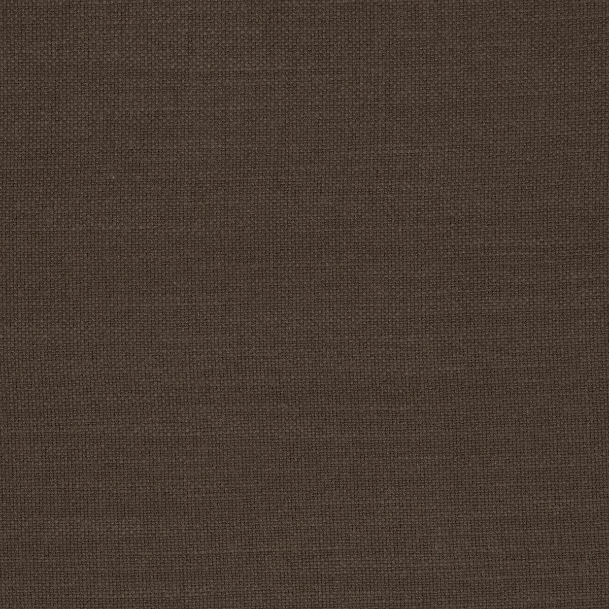 Nantucket-Cocoa