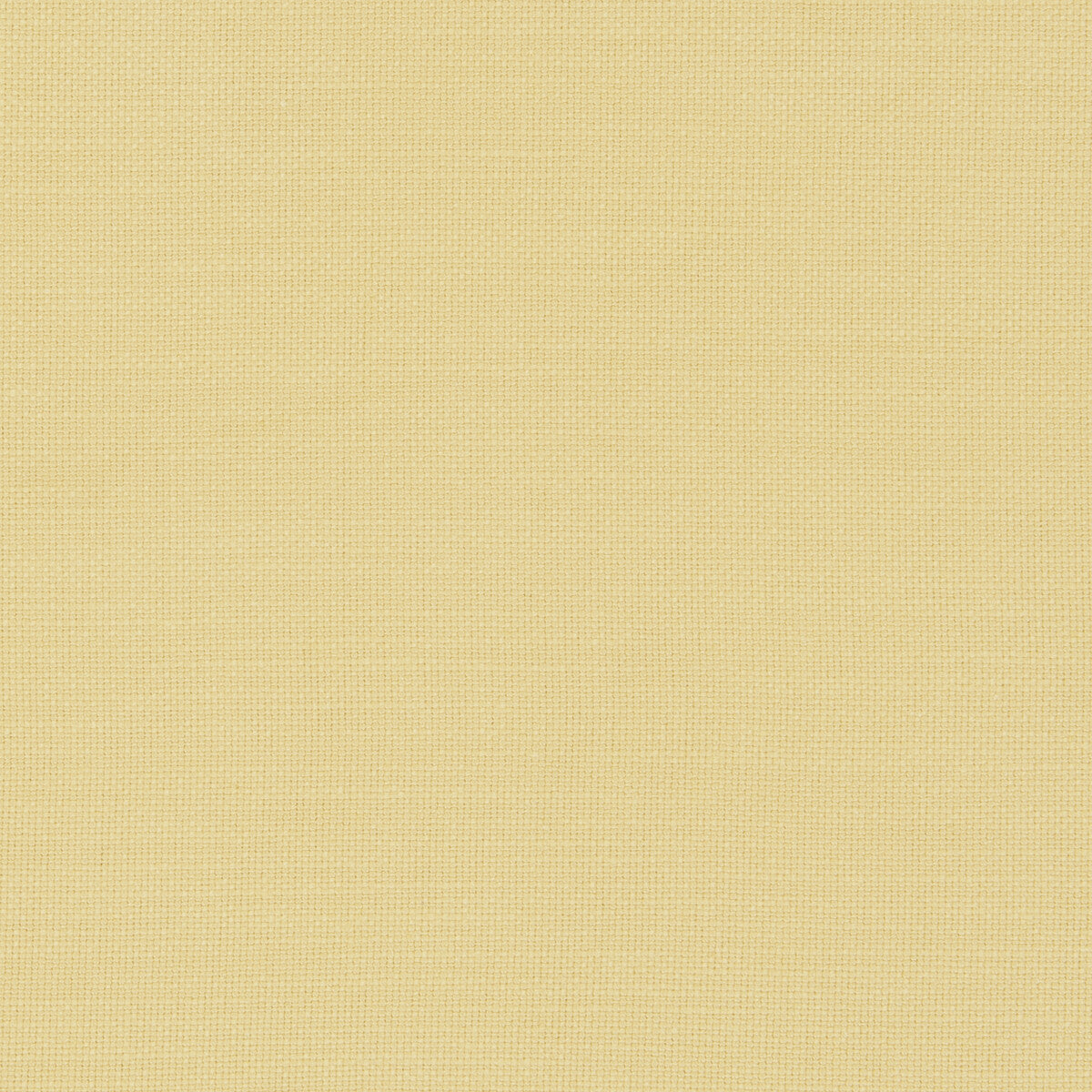 Nantucket-Corn