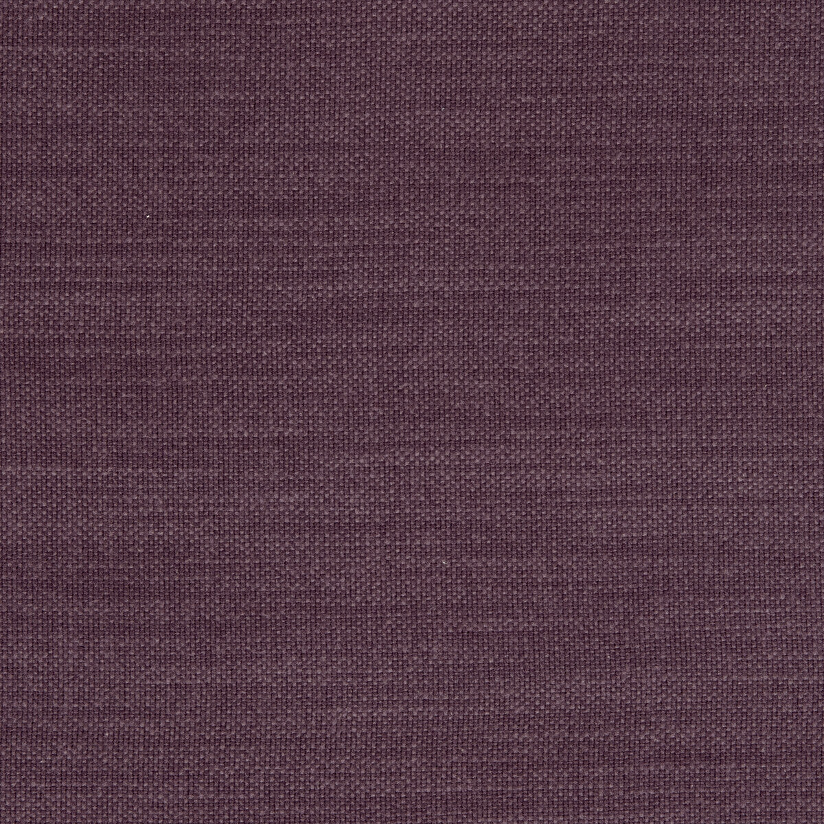 Nantucket-Grape