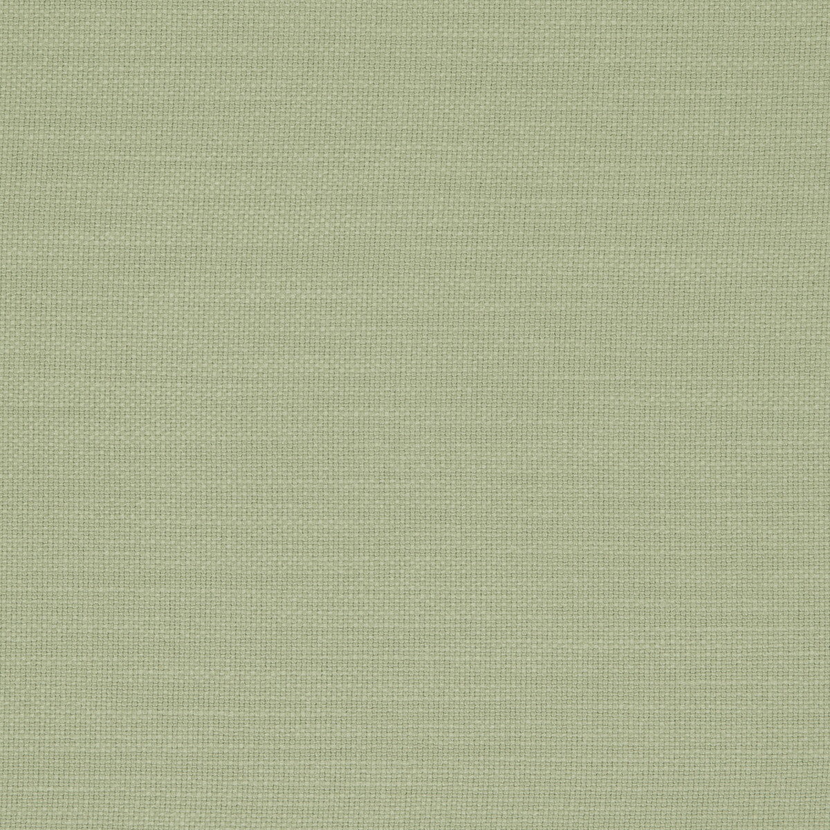 Nantucket-Meadow