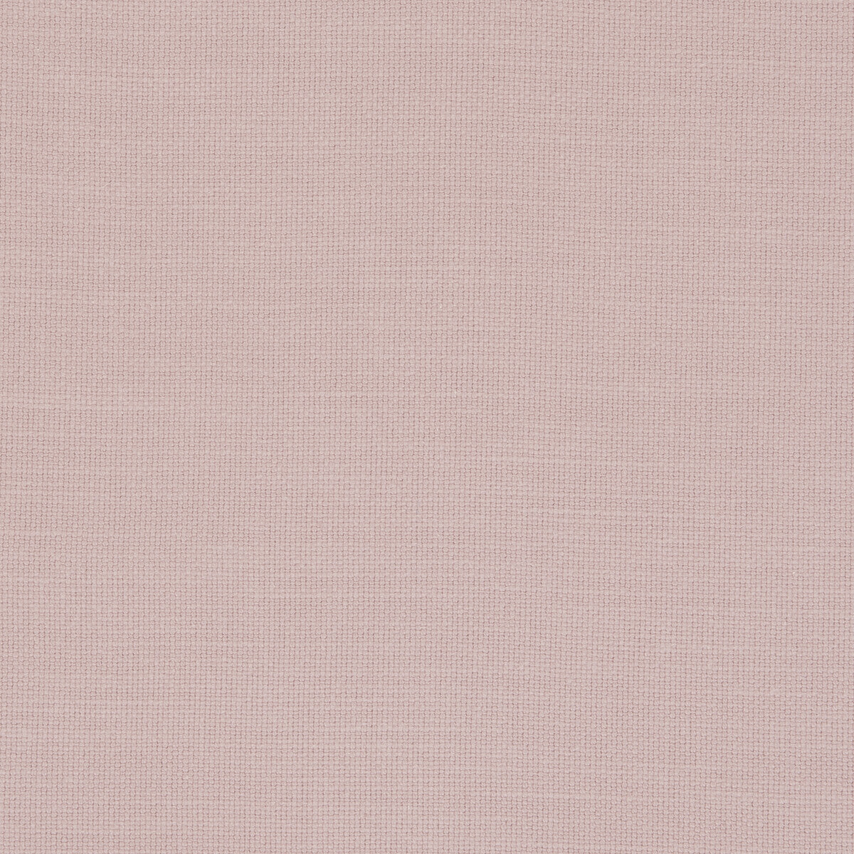 Nantucket-Rose