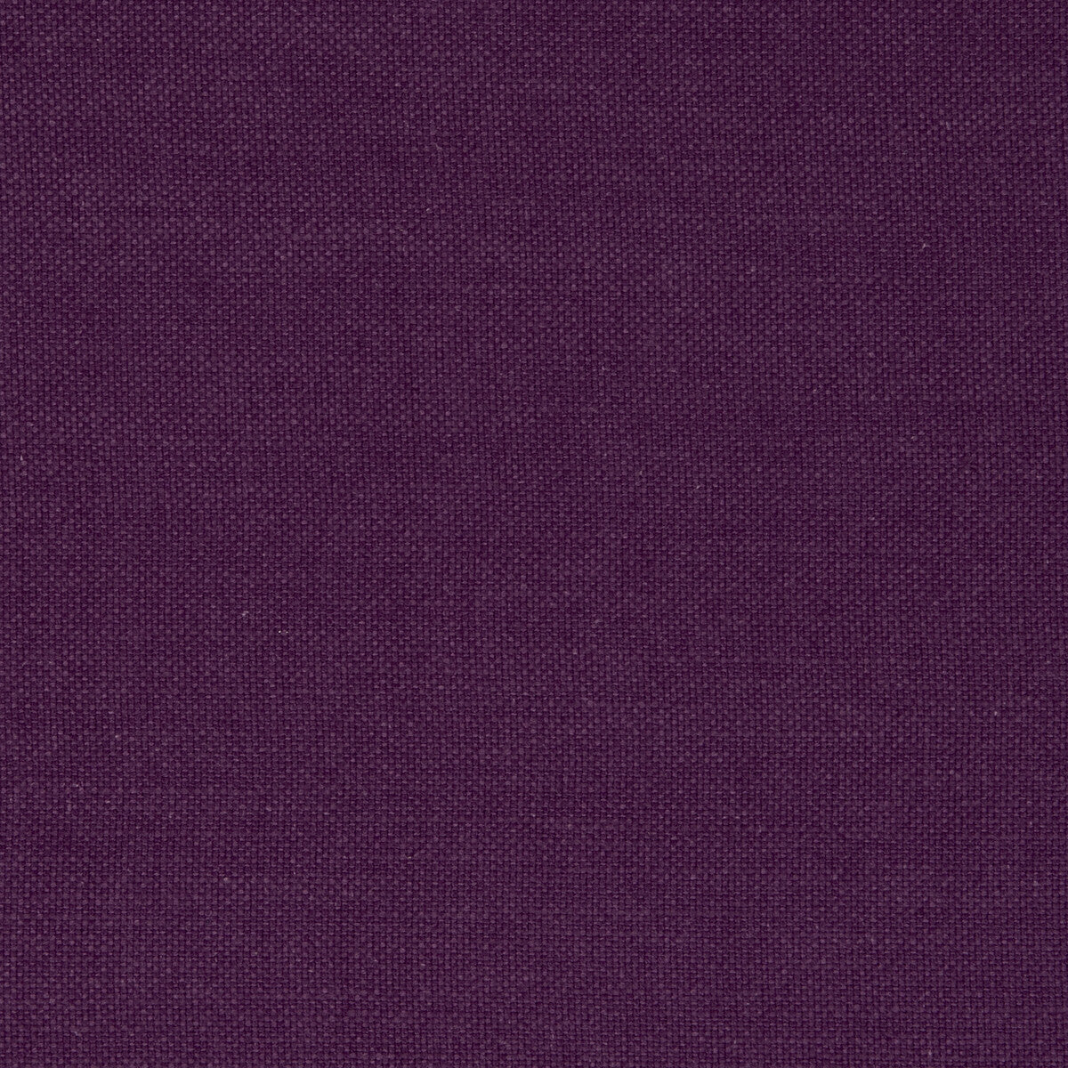 Nantucket-Violet
