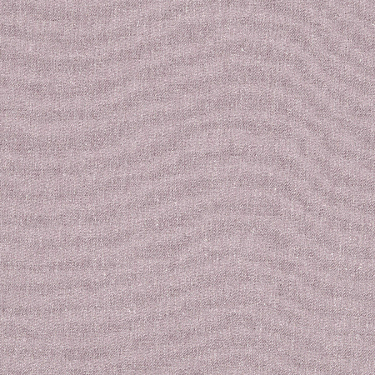 Abbey-Heather