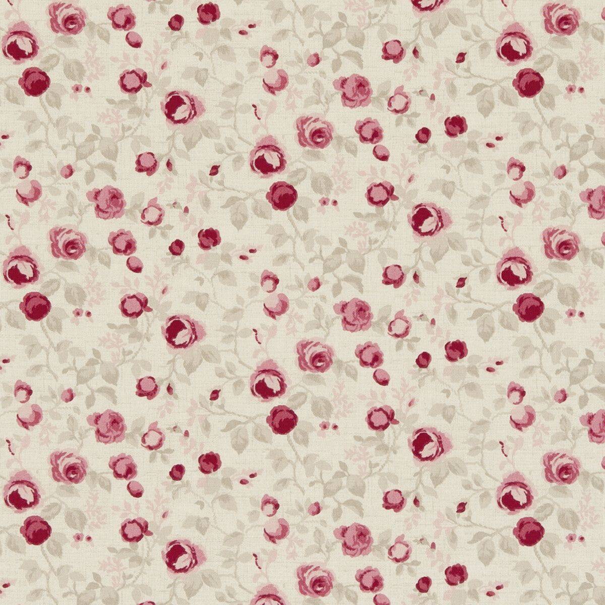 Maude-Raspberry