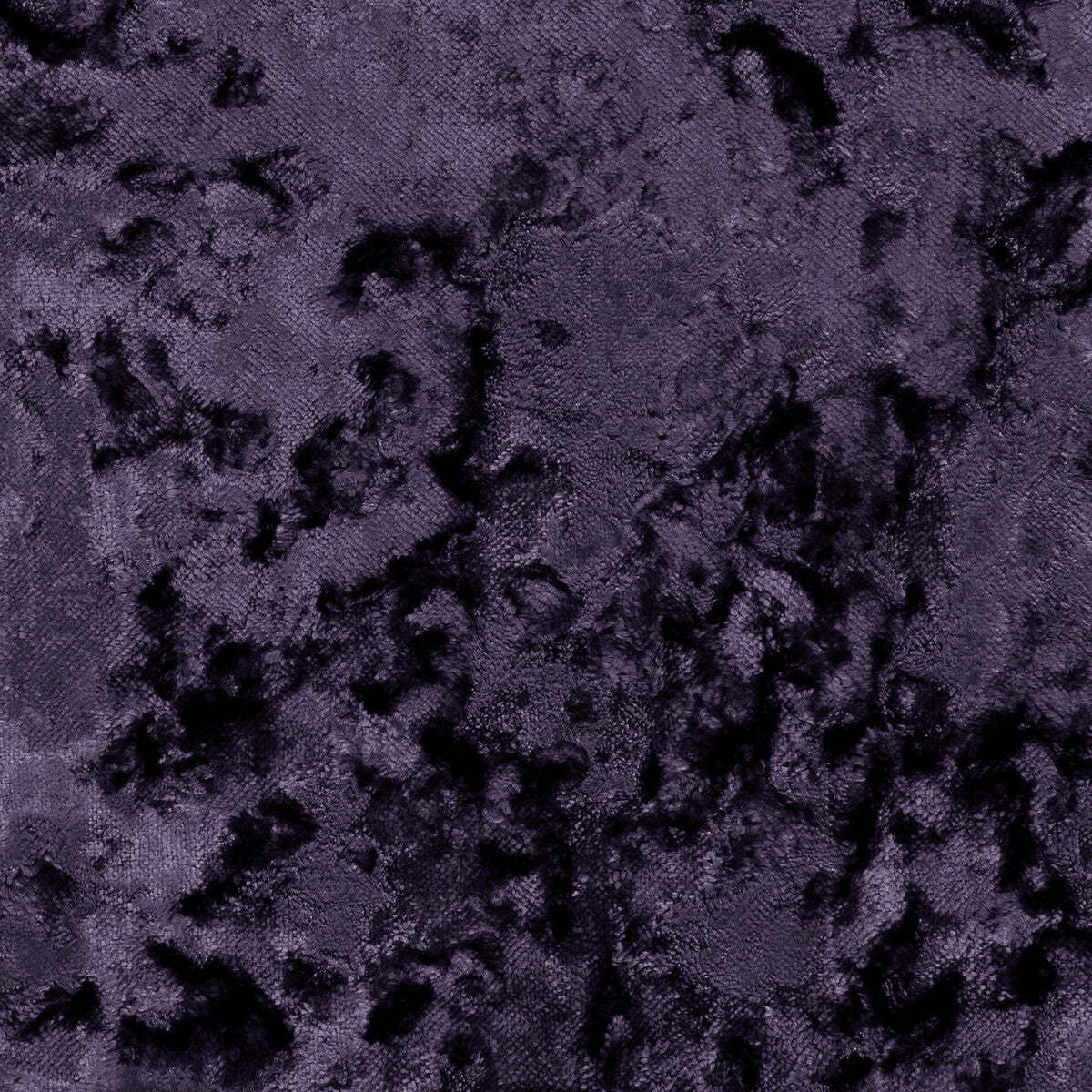 Crush-Orchid