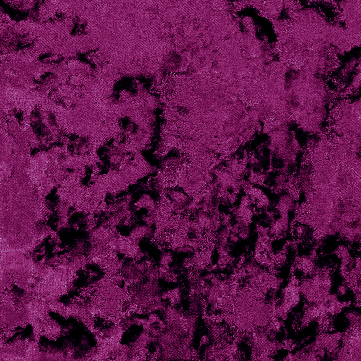 Crush-Violet