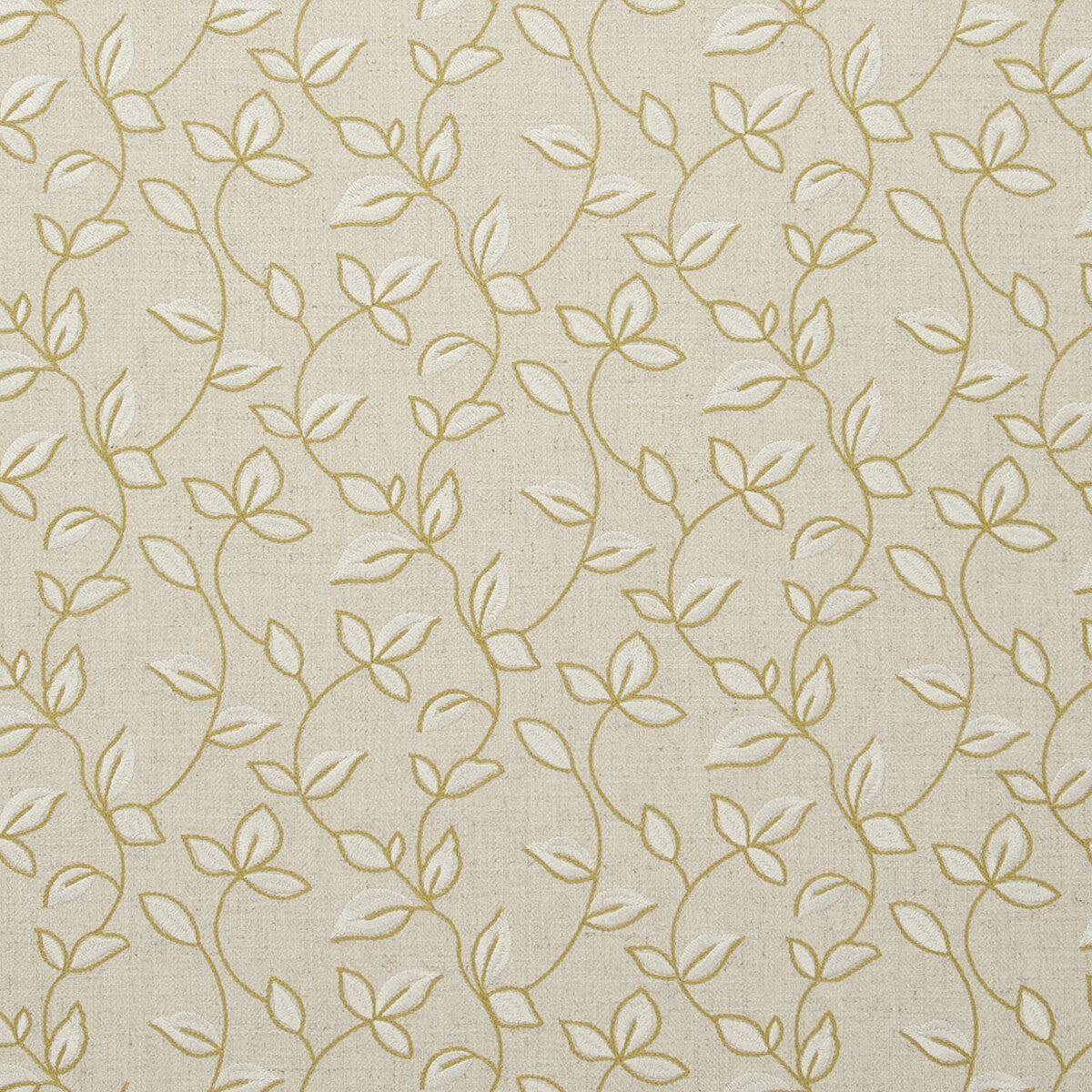 Chartwell-Acacia