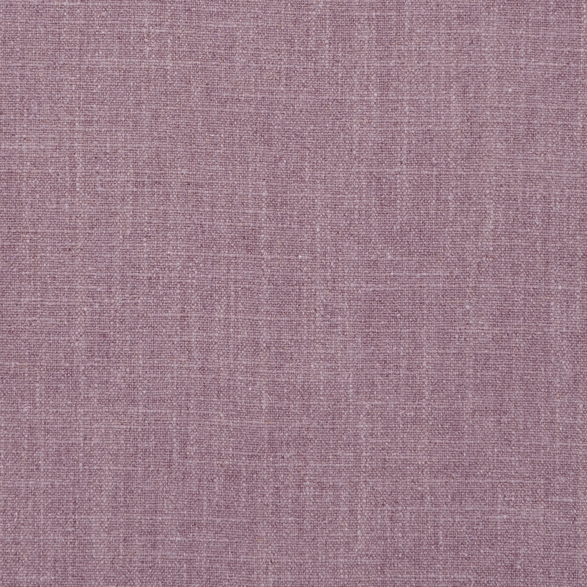 Easton-Orchid